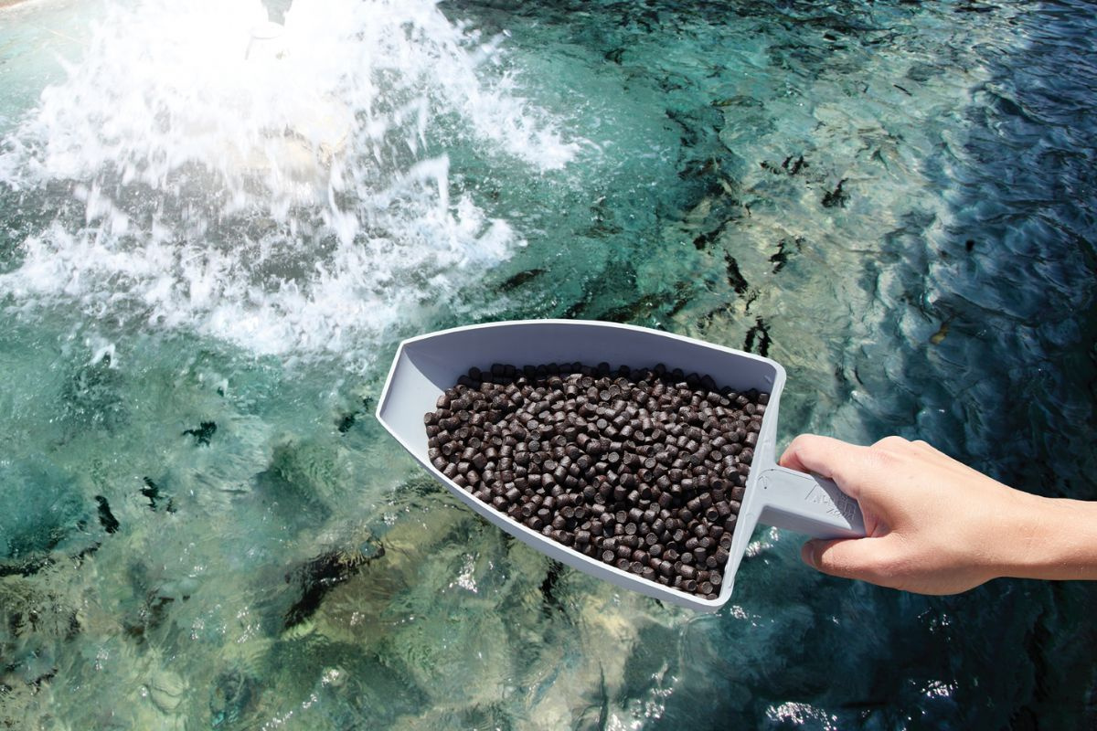 Thức ăn thủy sản