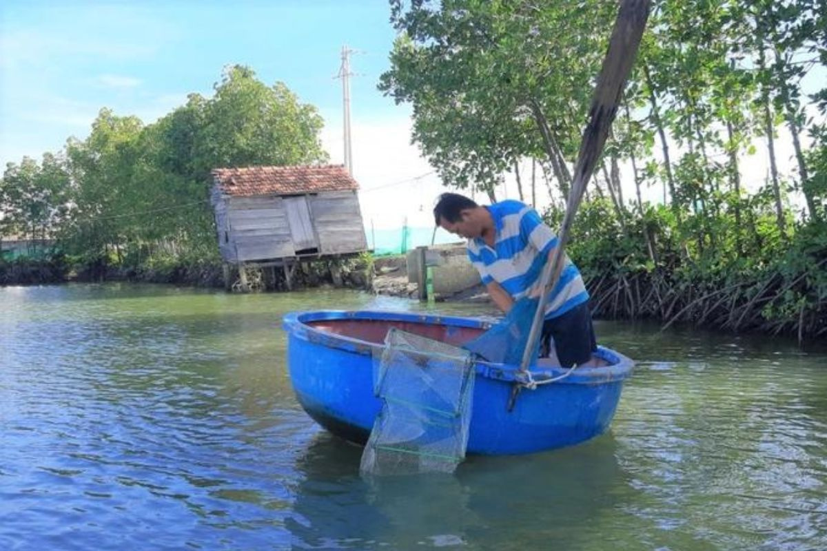 Mô hình nuôi kết hợp tôm cua cá