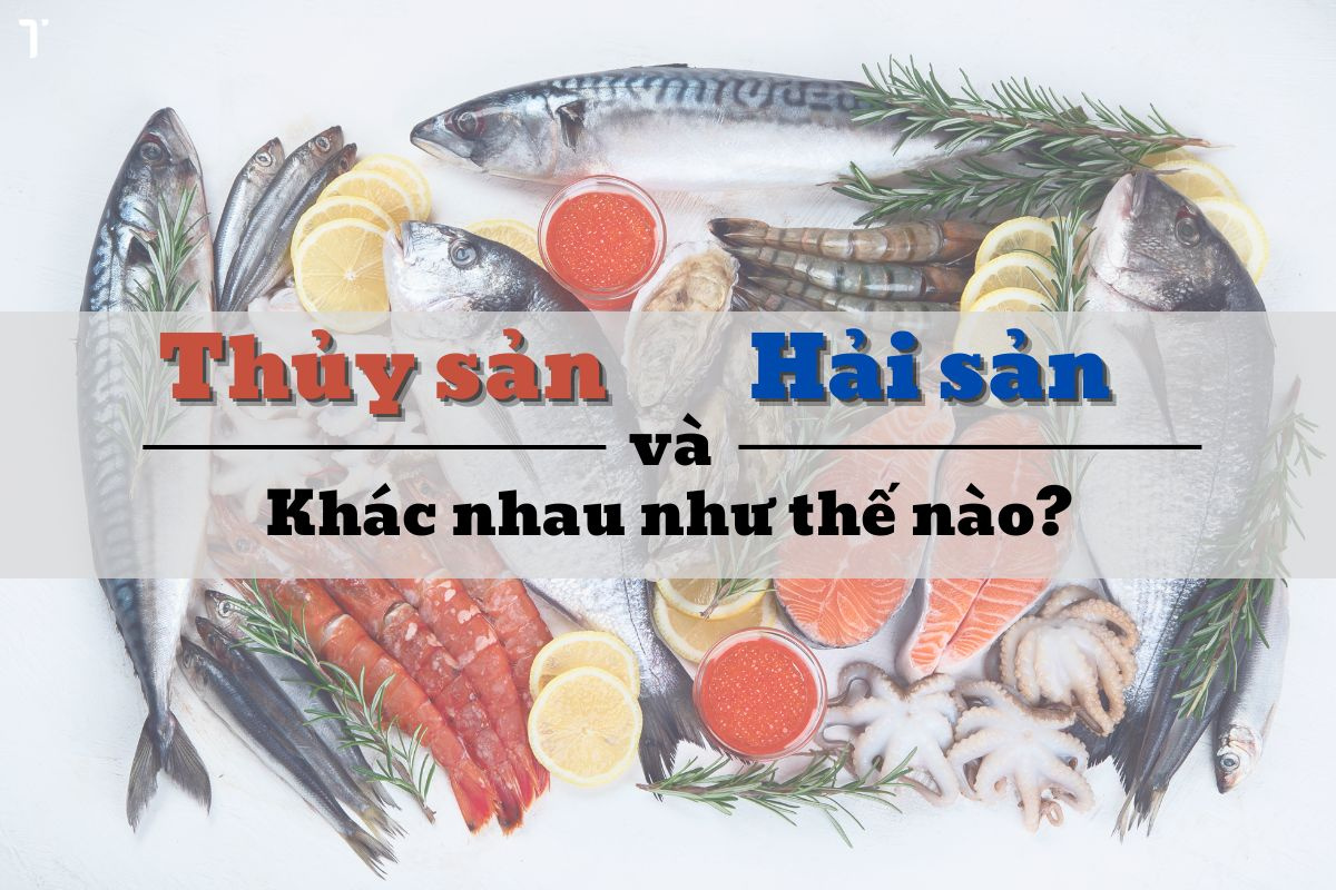 biết thêm về hải sản khác thủy sản và lợi ích cho sức khỏe