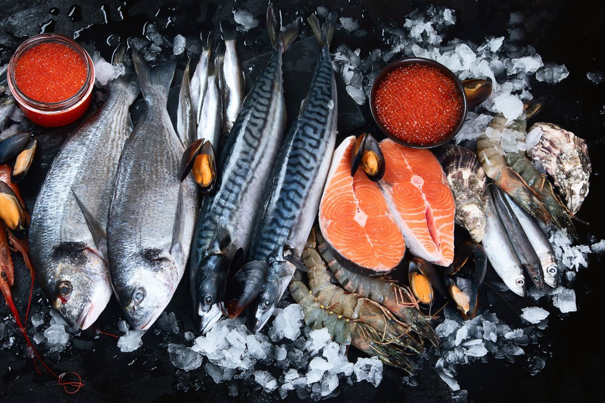 Một số loại cá béo tốt cho sức khỏe - VIAM clinic