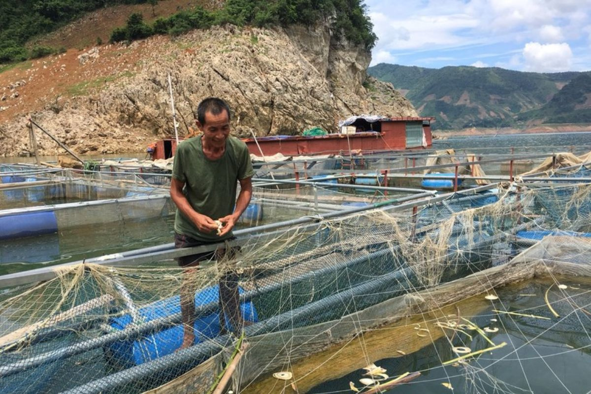 Ông Bân thoát nghèo nhờ nuôi cá lồng