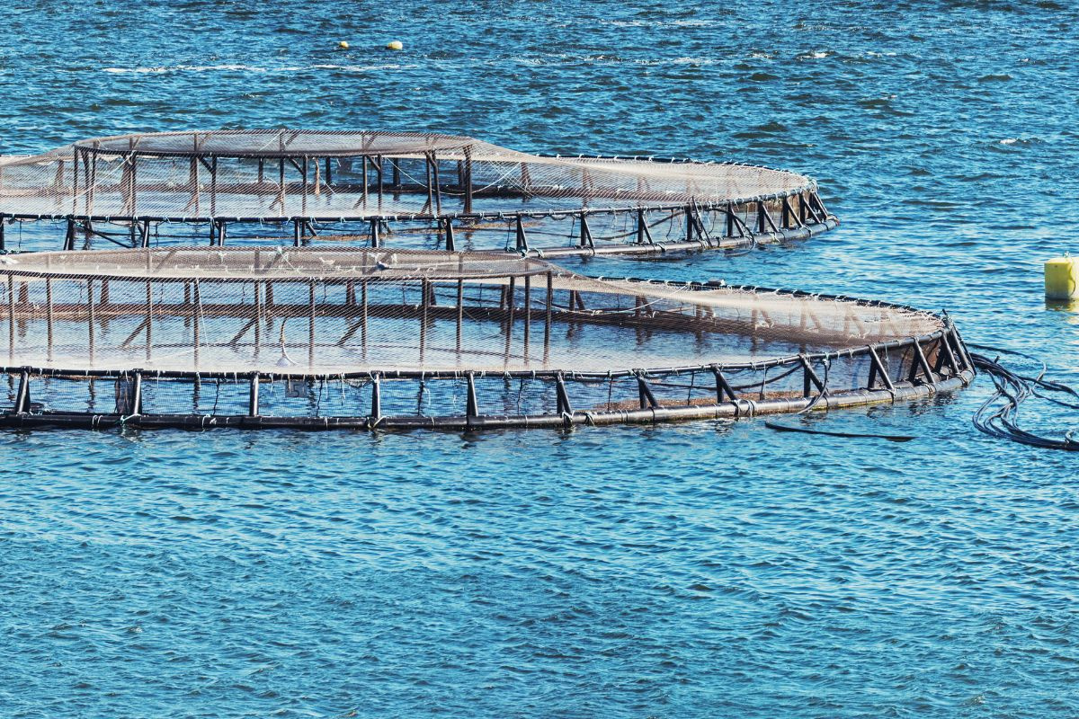 Nuôi trồng thủy sản