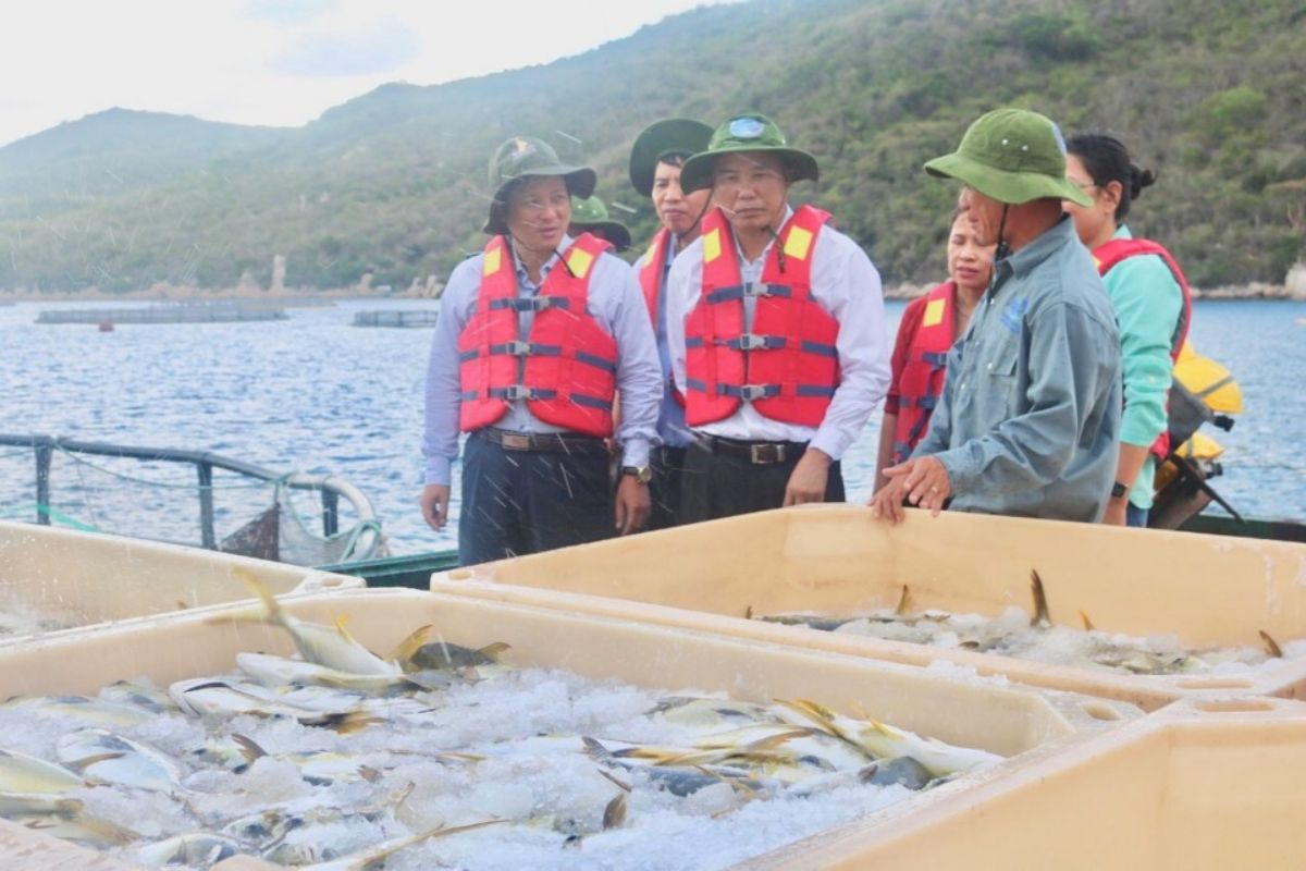 Bức xúc quy hoạch, giao mặt nước biển cho nuôi trồng thủy sản