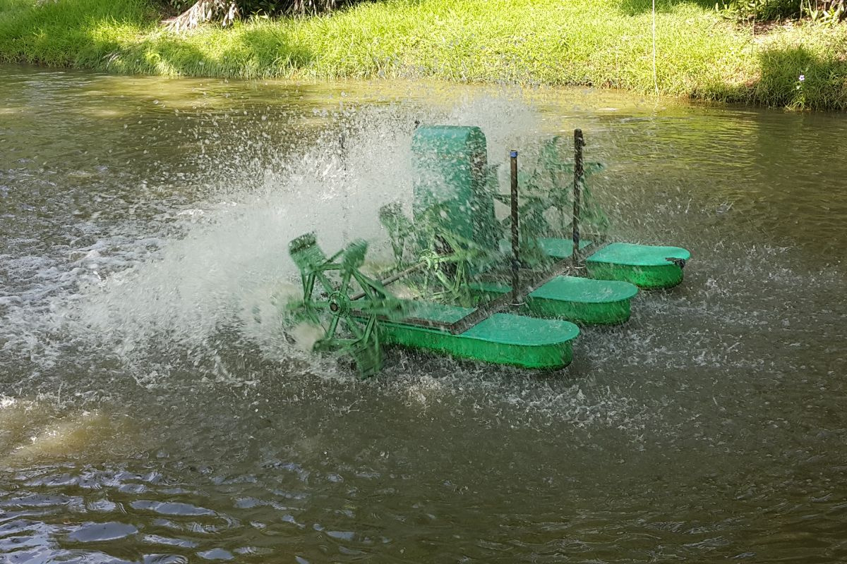 Xử lý nước ao lắng