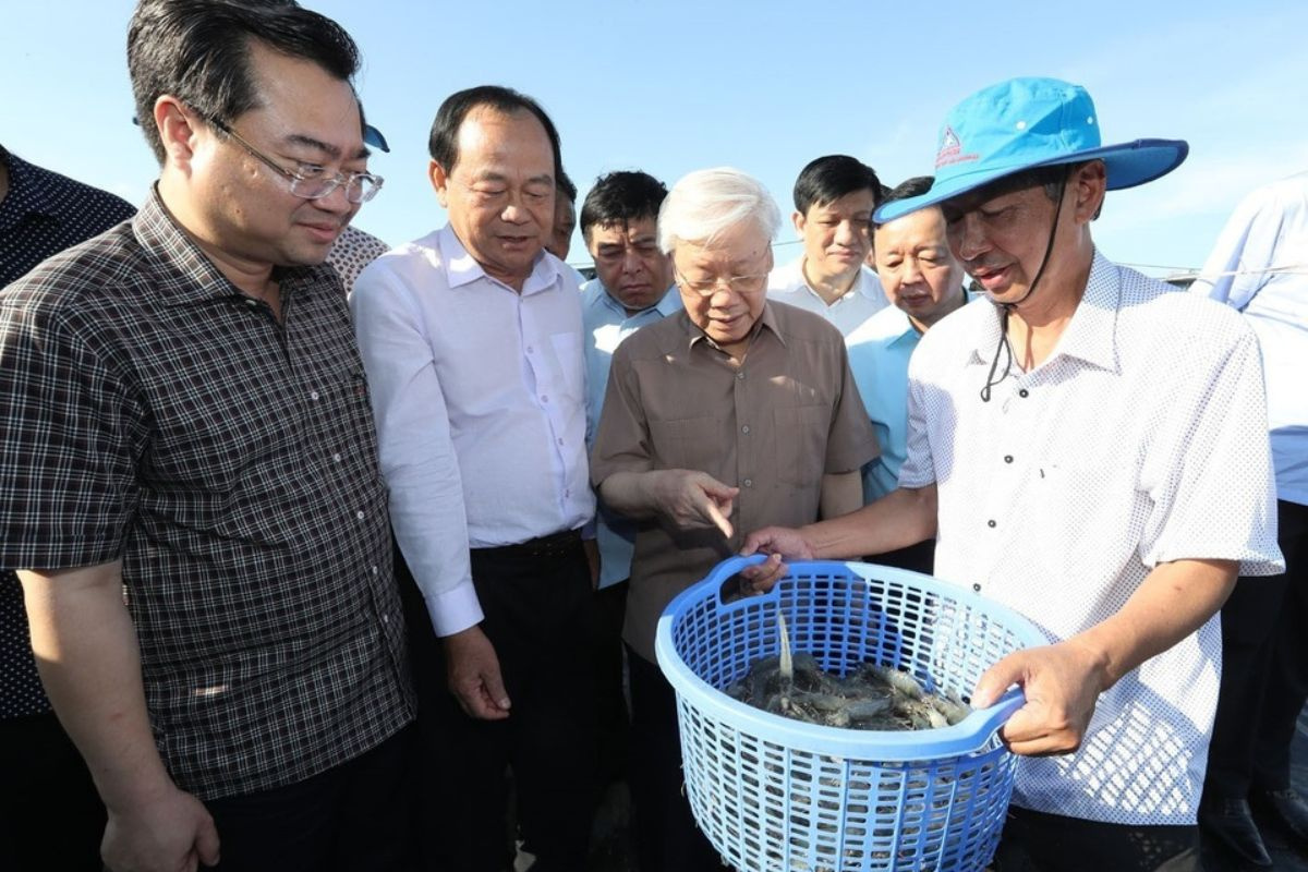 Tổng bí thư Nguyễn Phú Trọng thăm mô hình nuôi tôm