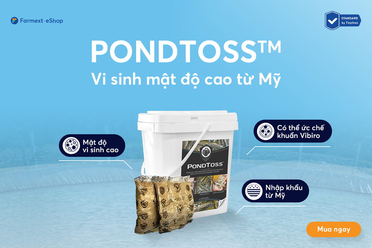  PONDTOSS™