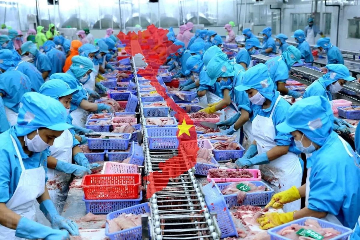 Chế biến thủy sản