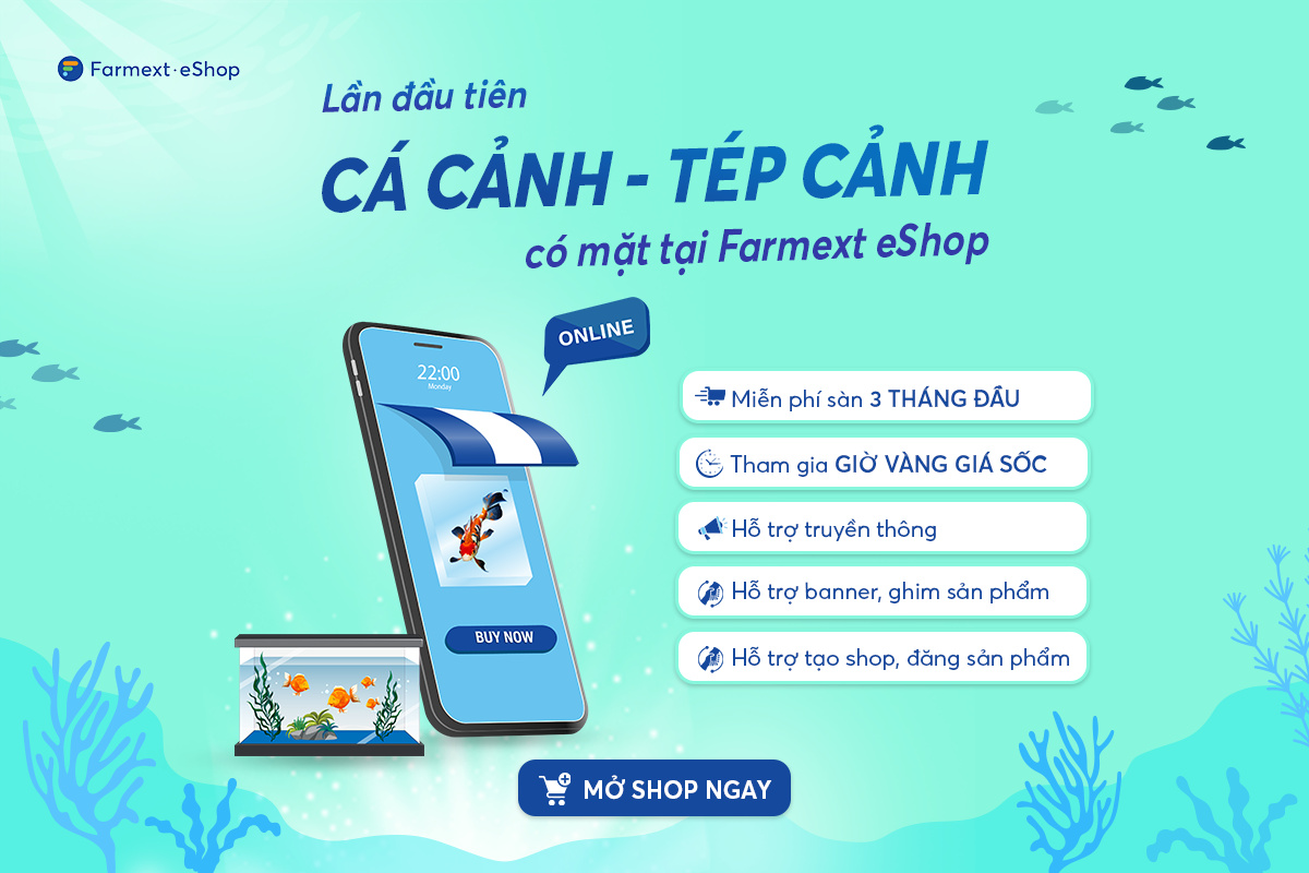 Mở Shop Cá cảnh - Tép cảnh online nhanh và nhàn tại Farmext eShop