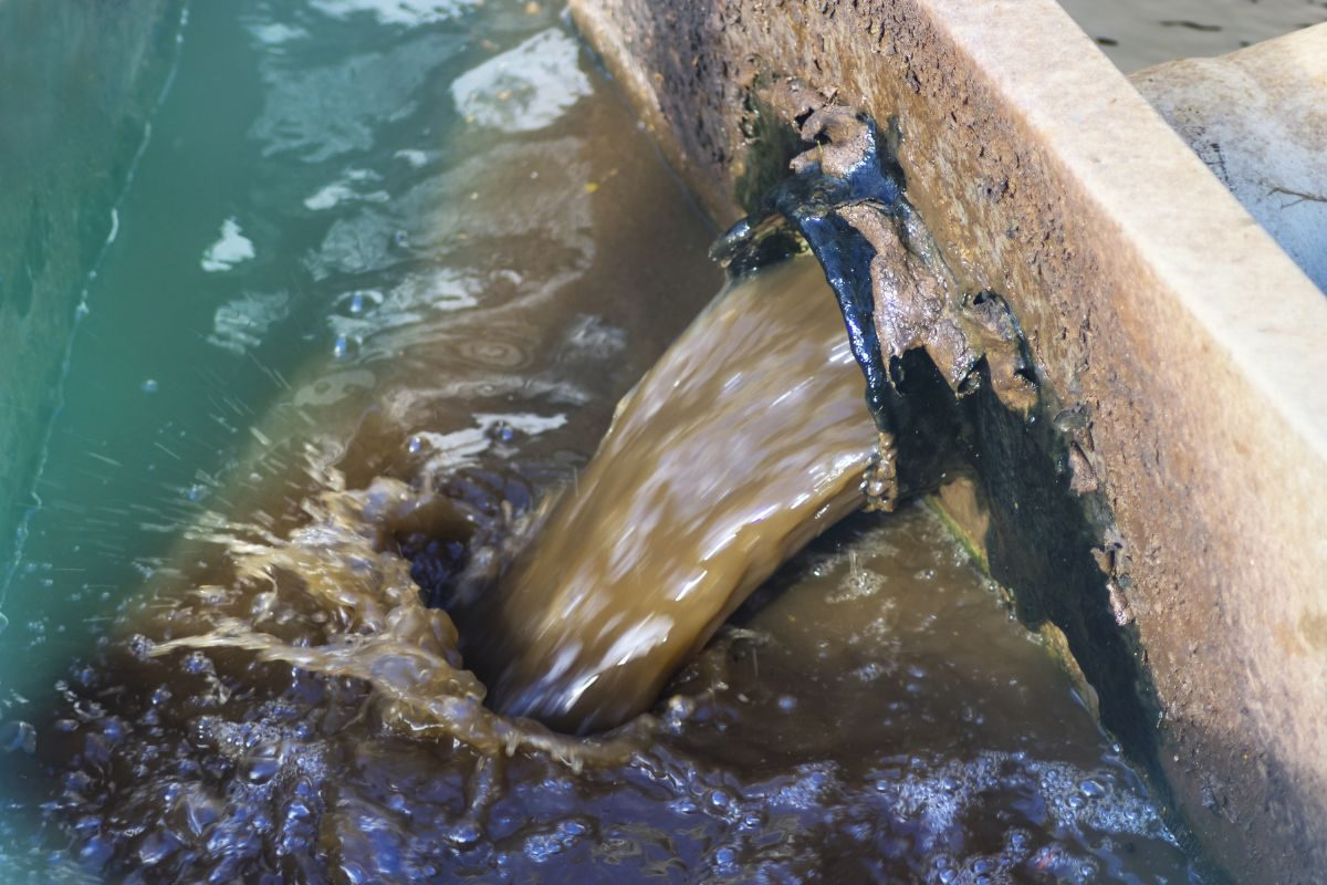 Nước thải ao nuôi