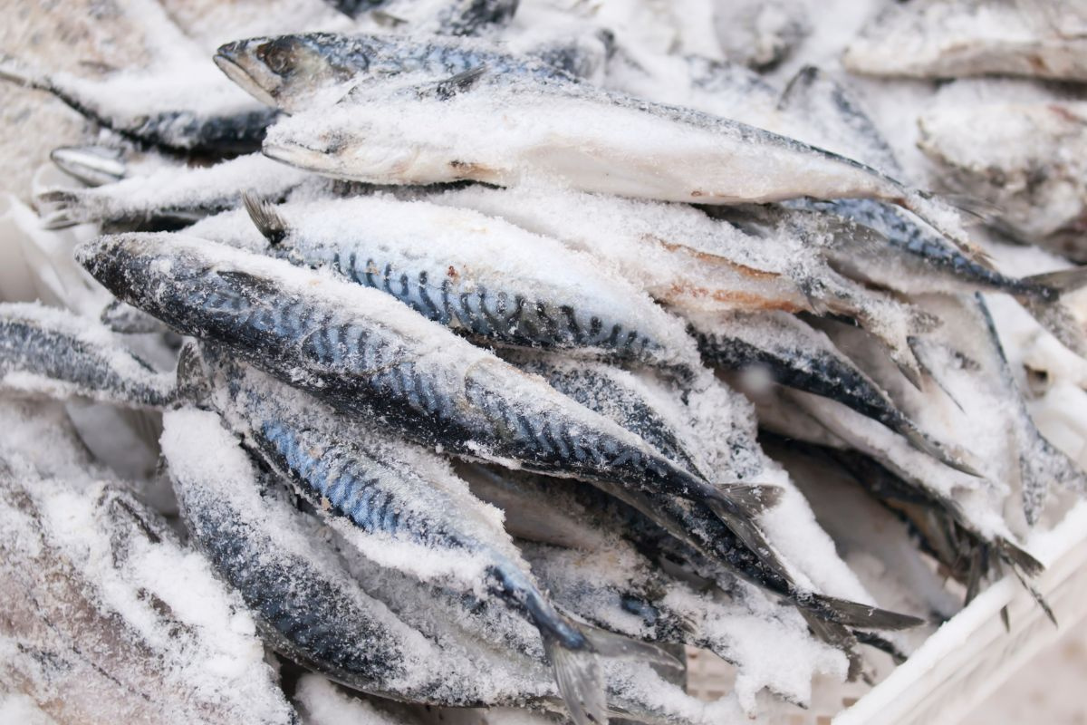 Cá đông lạnh