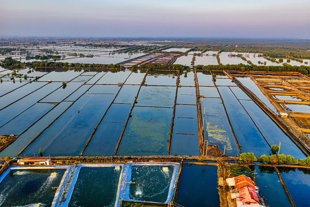 Nuôi trồng thủy sản