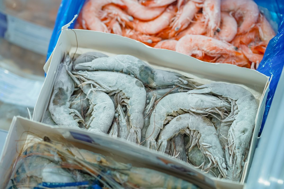 Tôm thẻ chân trắng