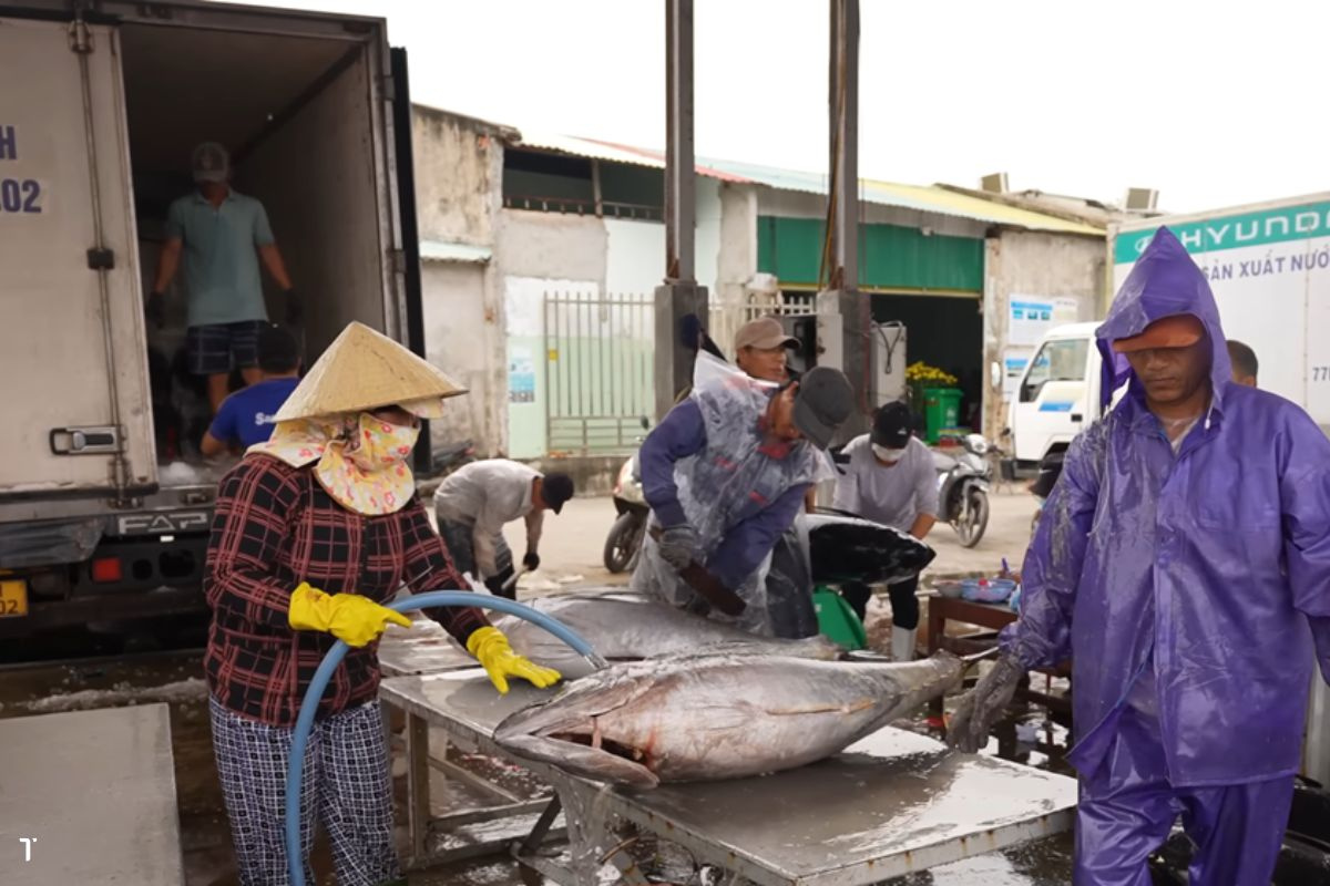 Khai thác thủy sản