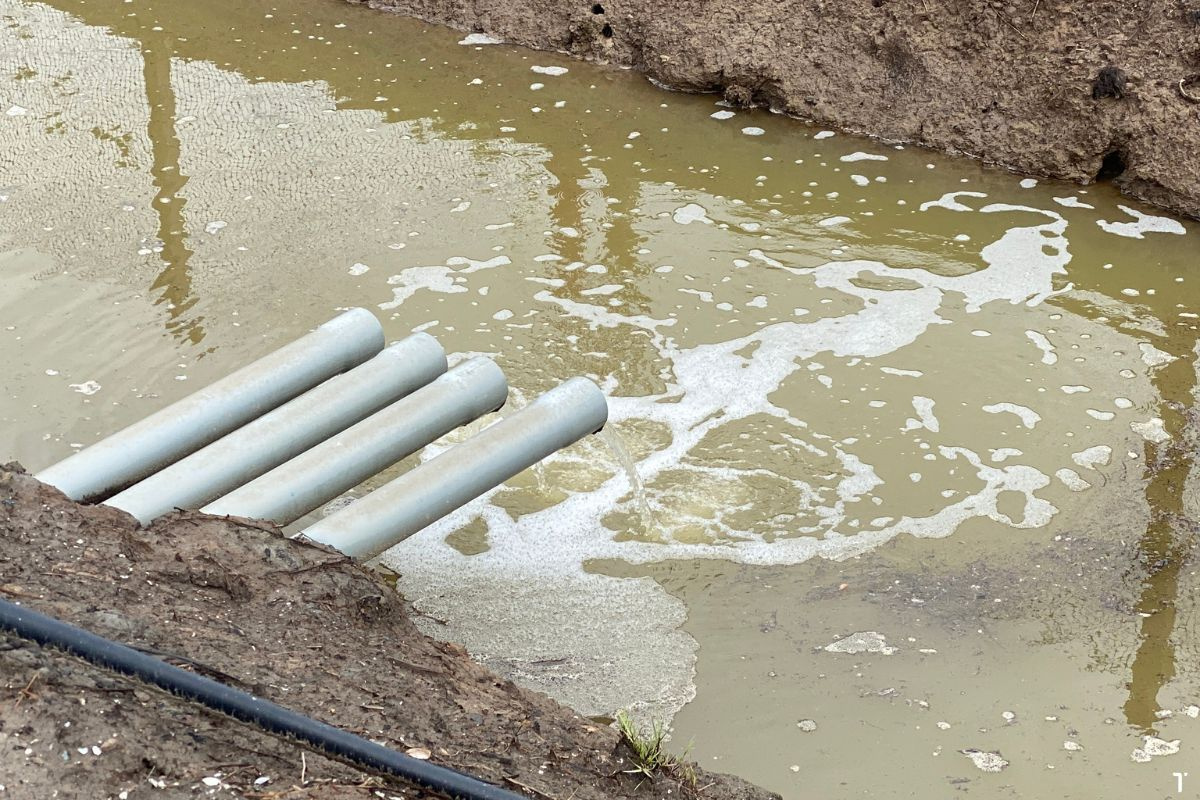 Môi trường nước ao nuôi tôm