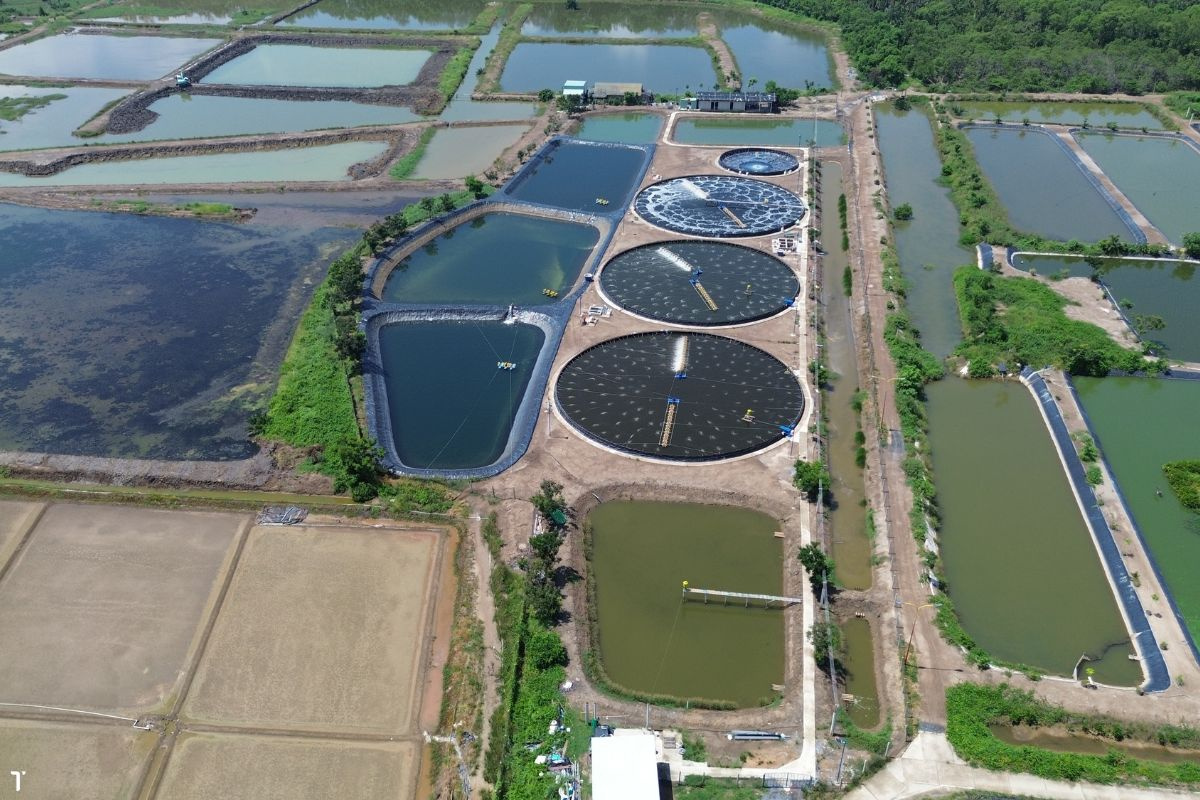 Nuôi trồng thủy sản