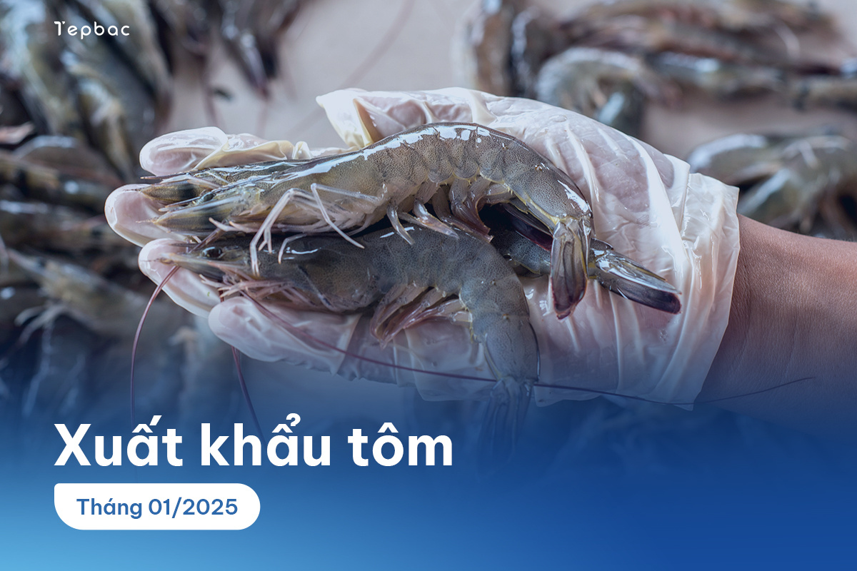 Xuất khẩu tôm
