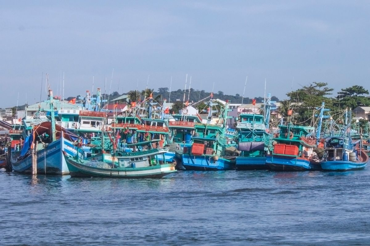 Tàu đánh bắt cá Việt Nam