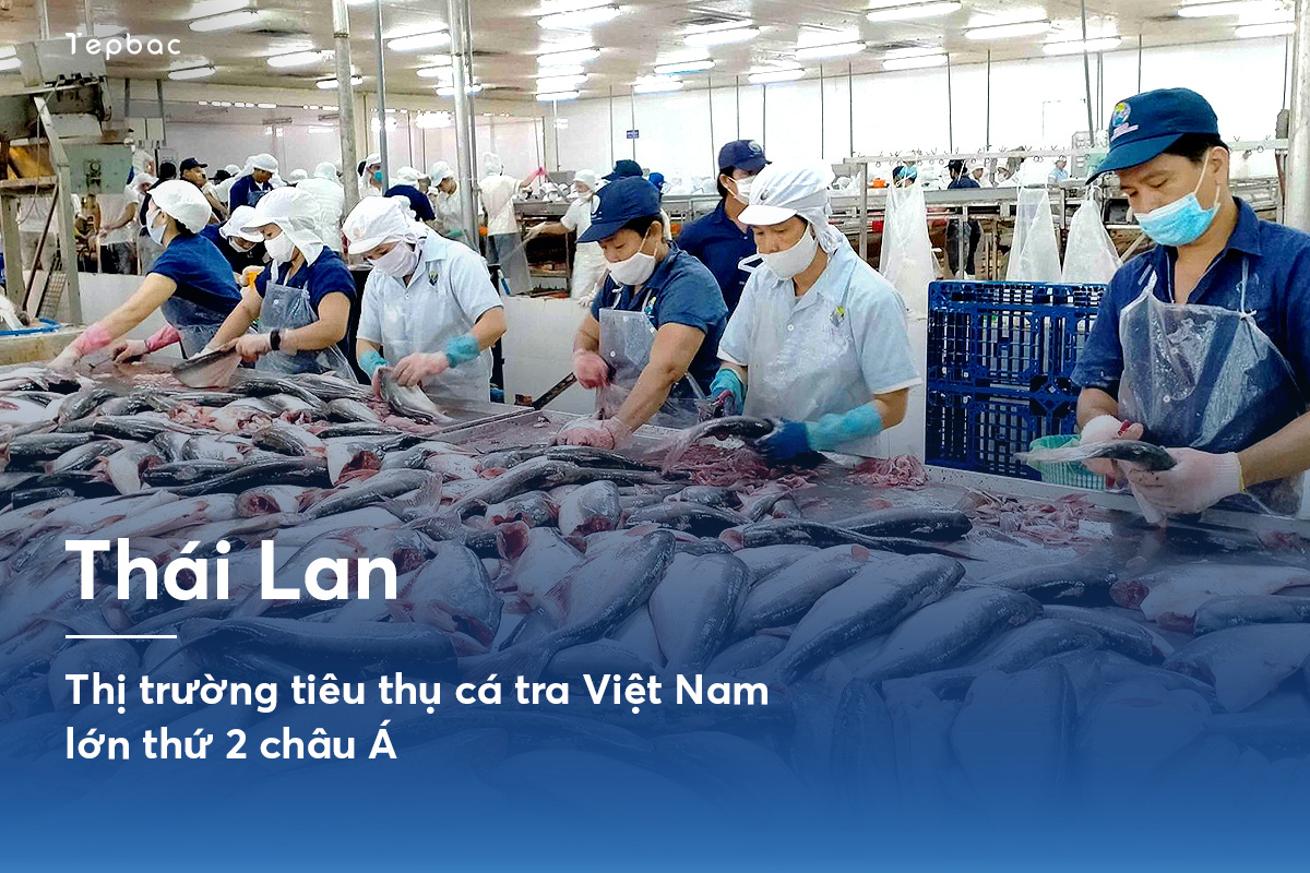 Xuất khẩu cá tra