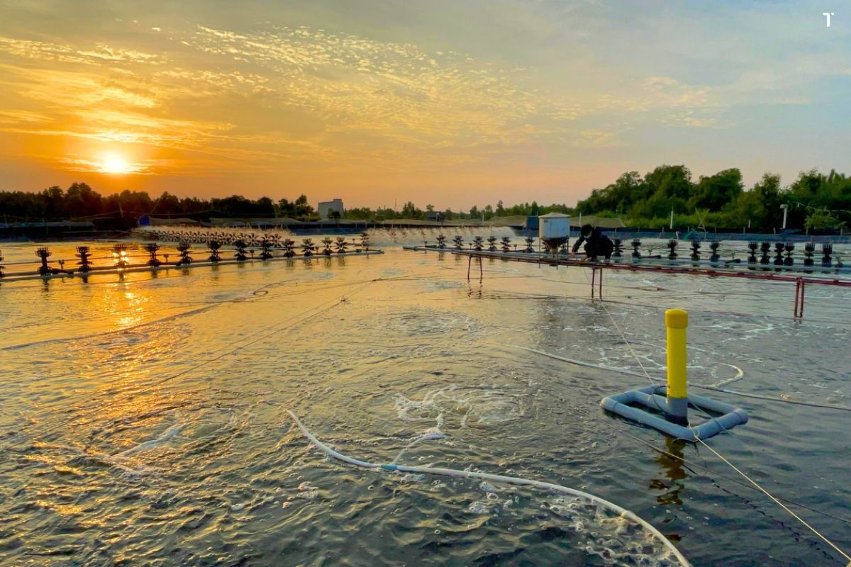 Máy đo môi trường