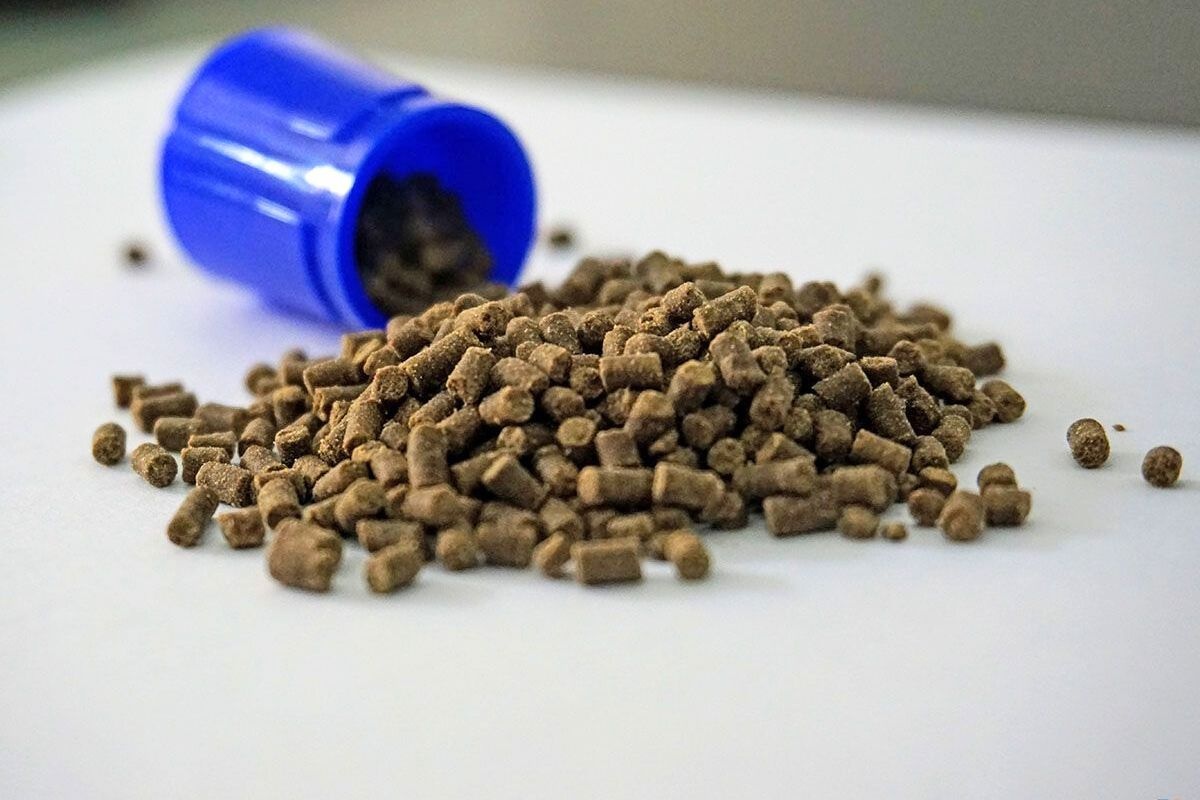 Thức ăn thủy sản