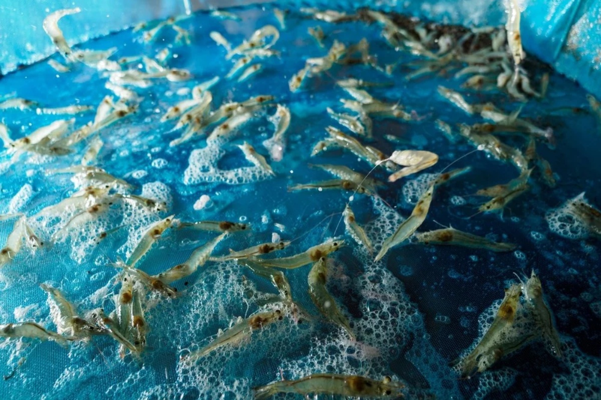 Công nghệ Nano đang trở thành hướng đi mới