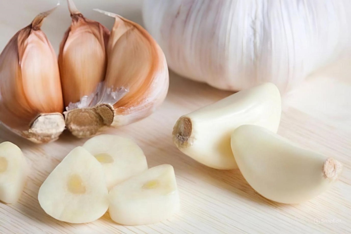 Ứng dụng tỏi trong nuôi tôm hiệu quả, an toàn và bền vững