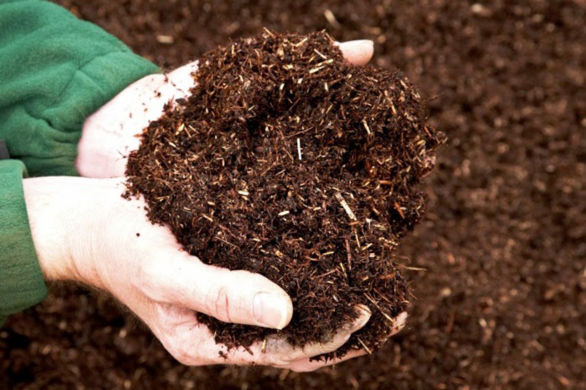 Tái sử dụng bùn ao làm phân bón