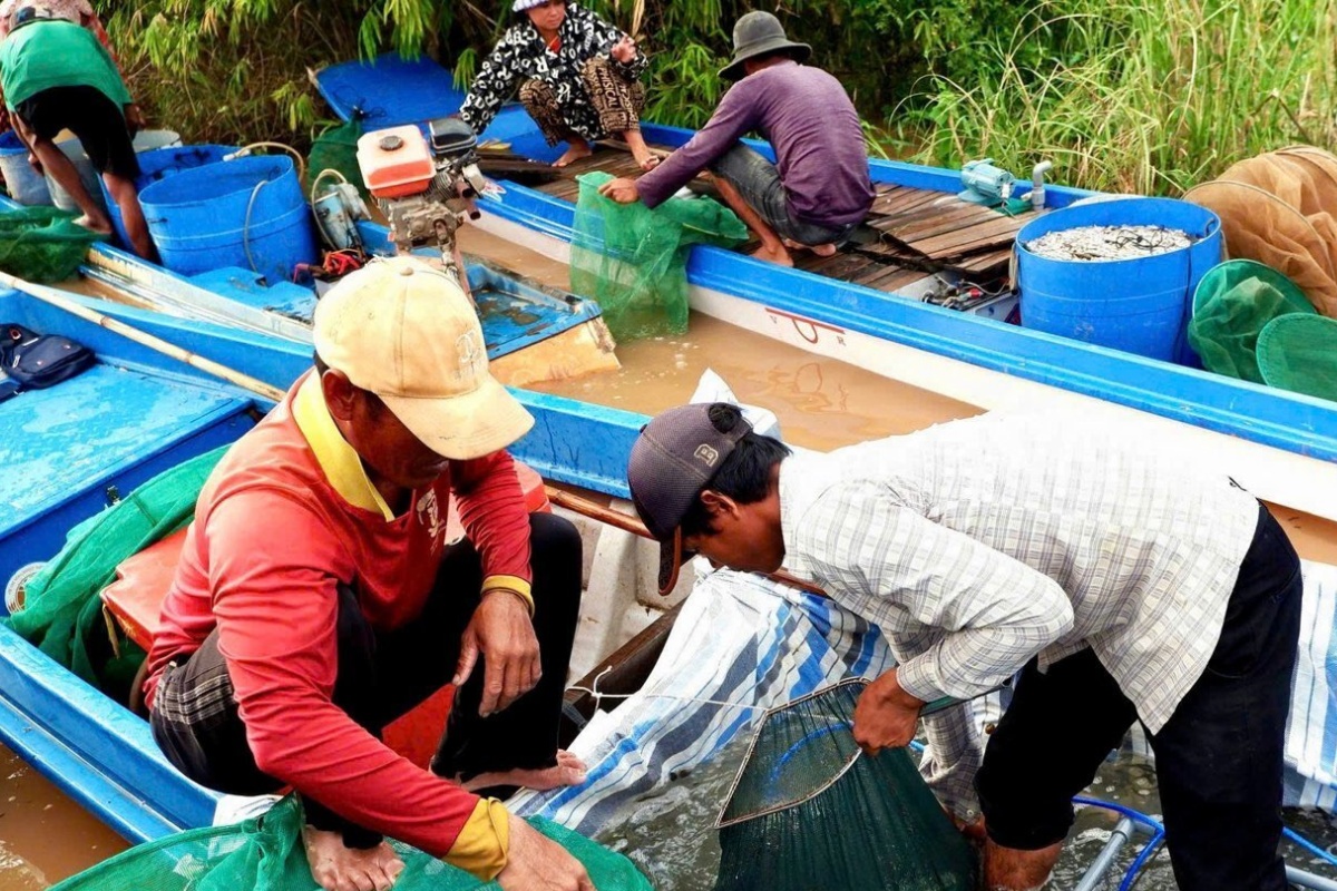 Từ sáng sớm người dân vùng biên giới tỉnh An Giang đã ra đồng đánh bắt cá tôm mùa nước nổi