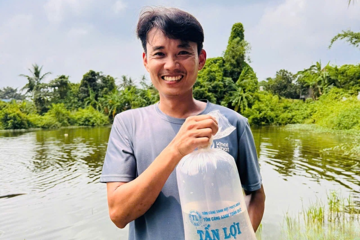 Anh Nguyễn Tấn Lợi chuyên nuôi tôm càng xanh toàn đực, mang về doanh thu 5 tỷ đồng/năm