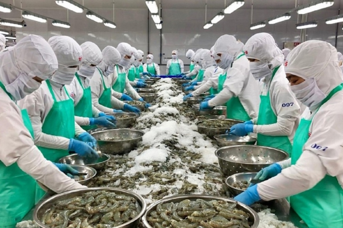 Xuất khẩu tôm đang gặp khó khăn