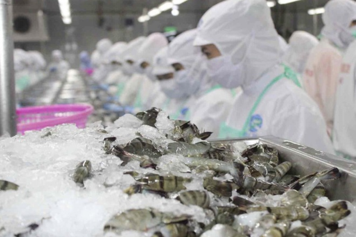 Xuất khẩu tôm Việt Nam sang Mỹ