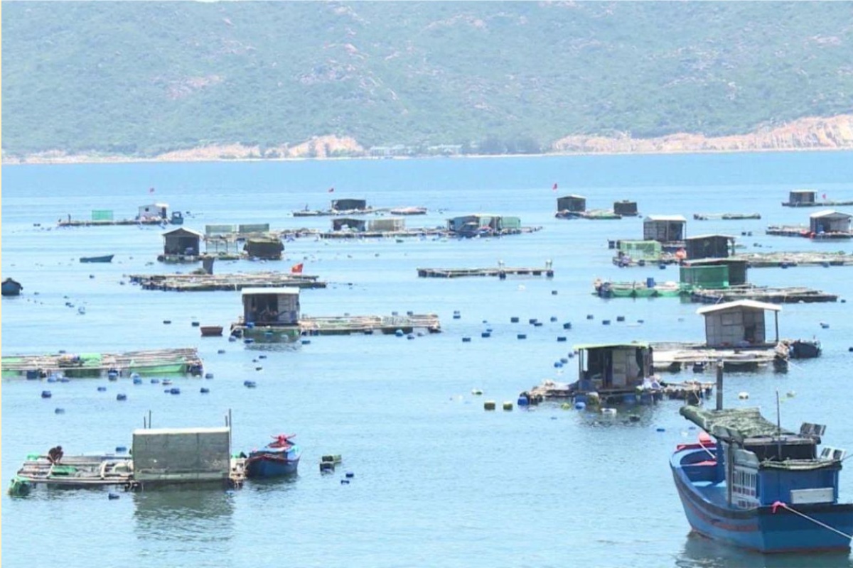 Lồng bè nuôi trồng thuỷ sản trên Vịnh Cam Ranh