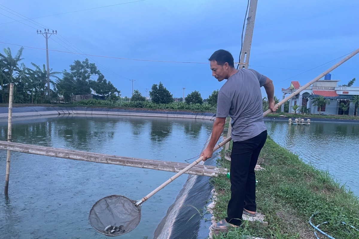 Nhờ hướng đi đúng đắn, chọn cá chạch sụn để làm giàu, đến nay anh Đinh Văn Thu đã thoát nghèo, tạo công ăn việc làm cho 15 lao động địa phương, cho thu nhập gần 500 triệu đồng/năm