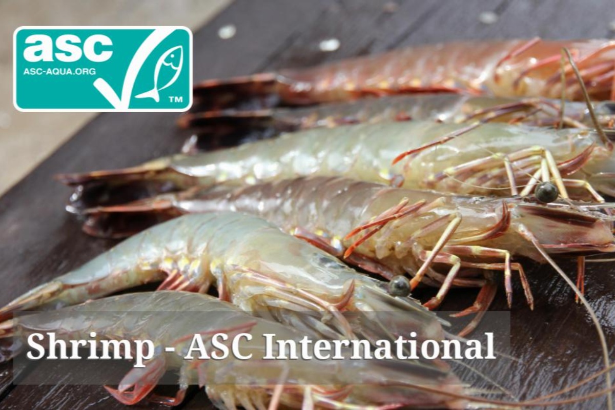 Chứng nhận tiêu chuẩn ASC cho lĩnh vực nuôi tôm