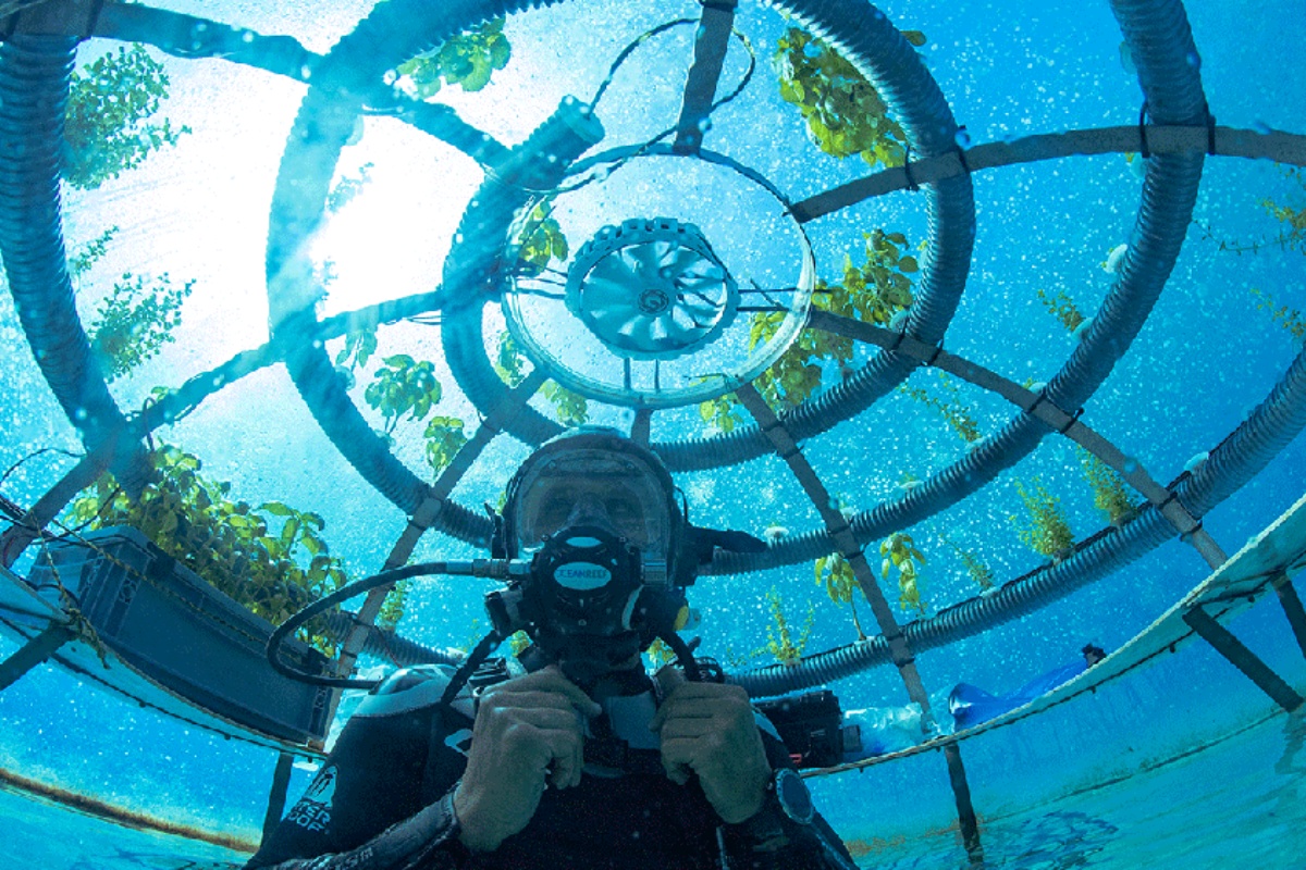 Mô hình trồng cây trên cạn dưới nước đầu tiên