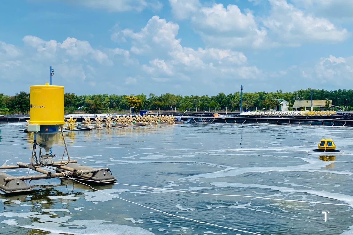 Hệ thống IoT kết nối cảm biến môi trường