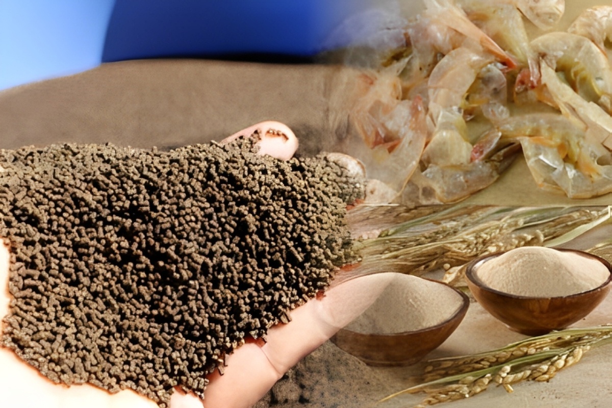 Tác hại của độc tố nấm mốc trong thức ăn thủy sản