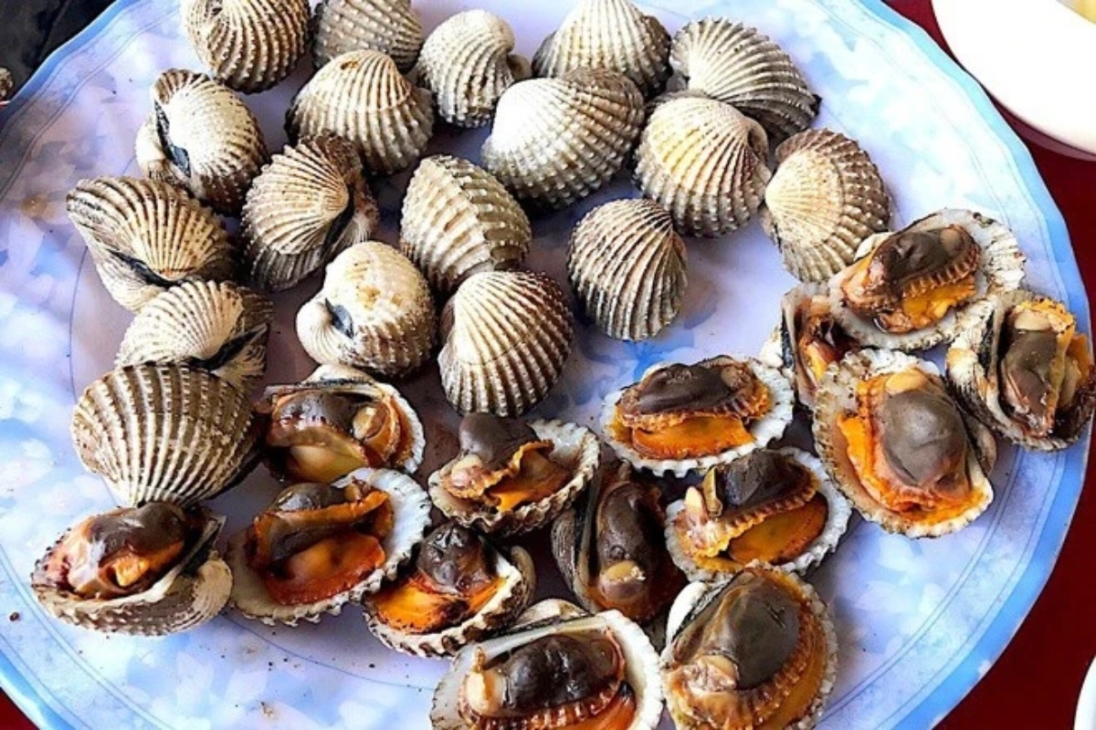 Sò huyết mang nhiều giá trị dinh dưỡng