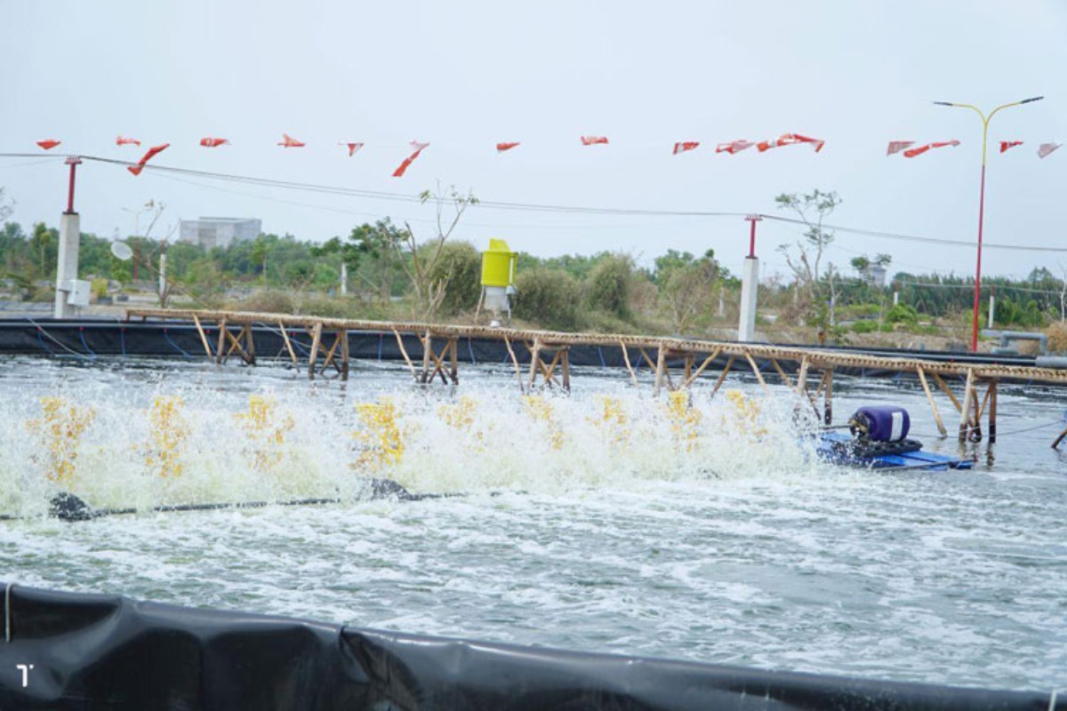 Bão Kajiki tiến vào Biển Đông, đe dọa các vùng nuôi trồng thủy sản