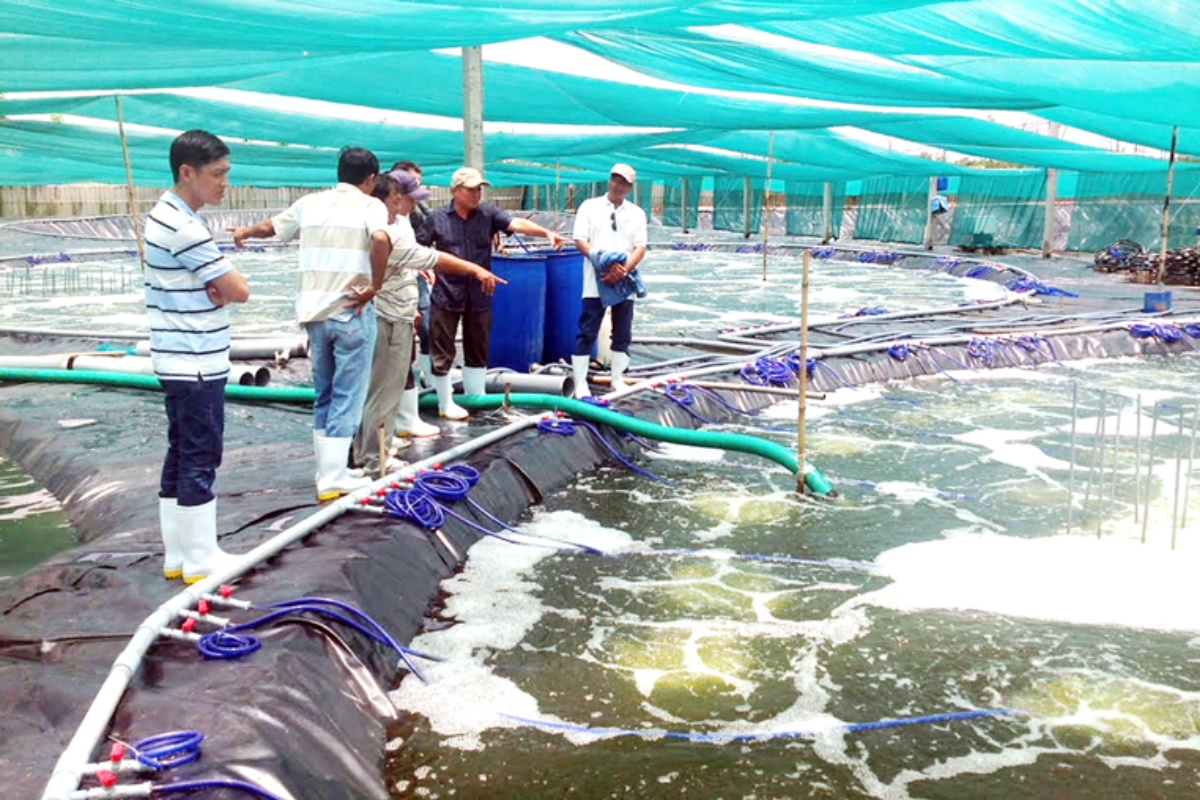 Ngành thuỷ sản sẽ chịu những tác động trực tiếp của Luật Tài nguyên nước