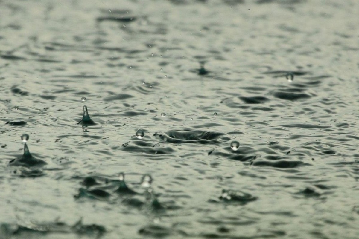 Hiện tượng tôm đồng loạt bơi lờ đờ, nổi đầu sau mưa