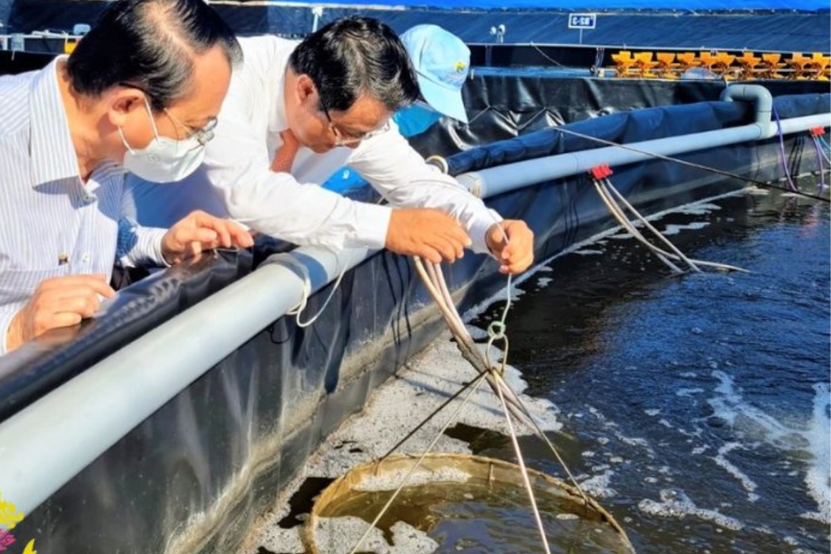 Cán bộ nông nghiệp hướng dẫn bà con thủ tục đăng ký mã số vùng nuôi