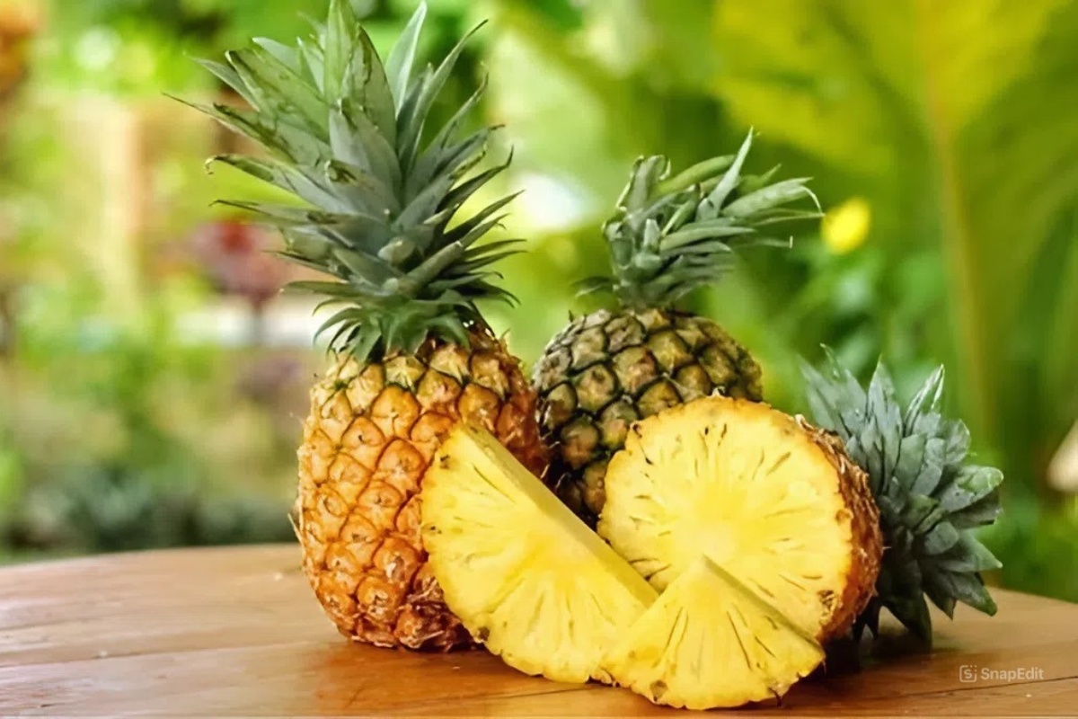 Lợi ích của phụ phẩm dứa trong thức ăn của tôm thẻ chân trắng