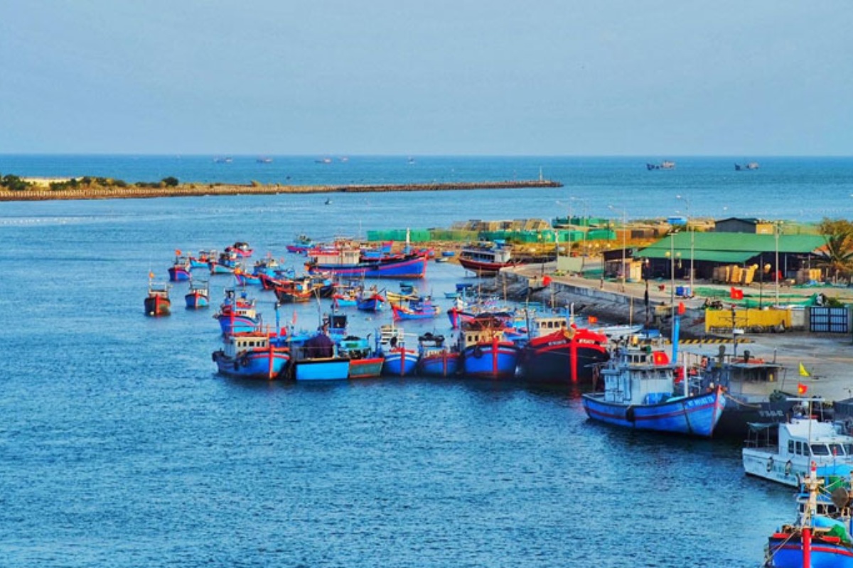 Tỉnh Ninh Thuận tổ chức lại nghề khai thác hải sản theo hướng bền vững