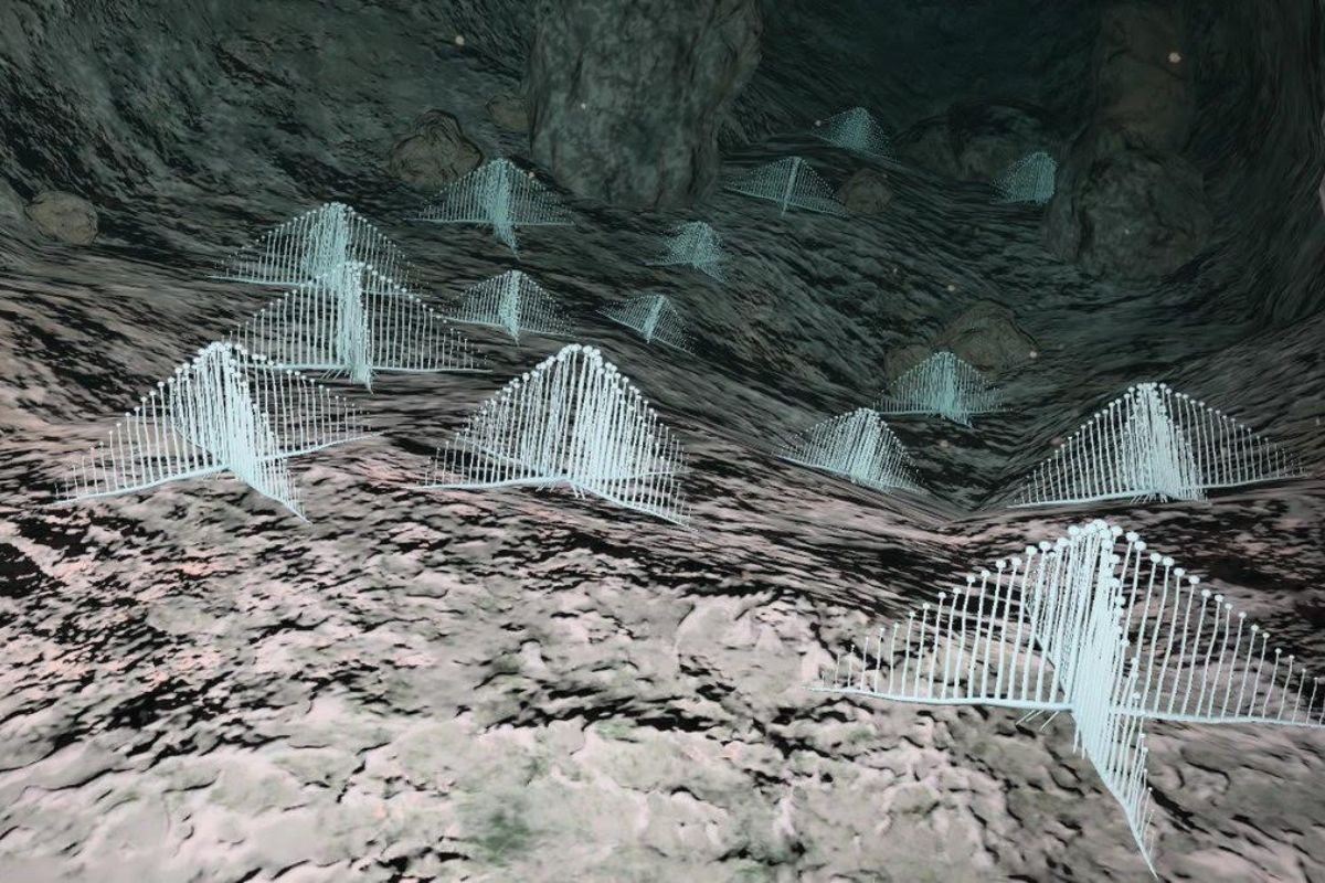 Bọt biển đàn hạc