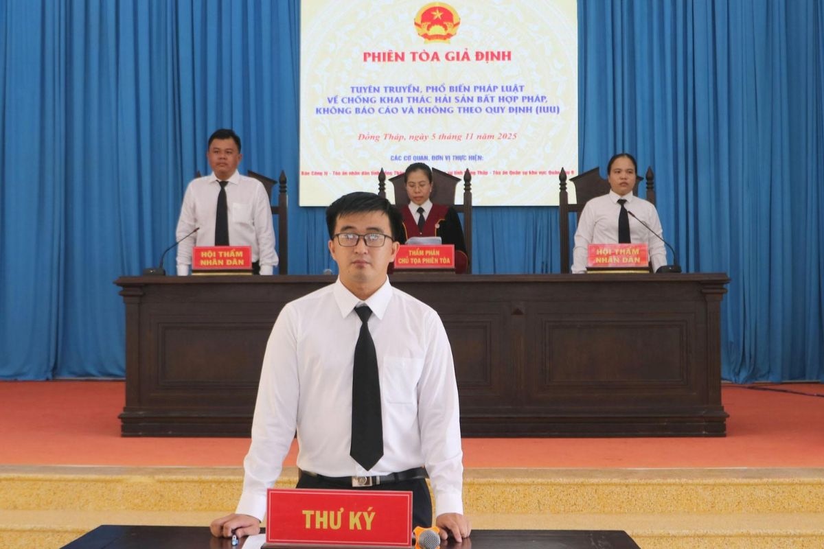 Hội đồng xét xử