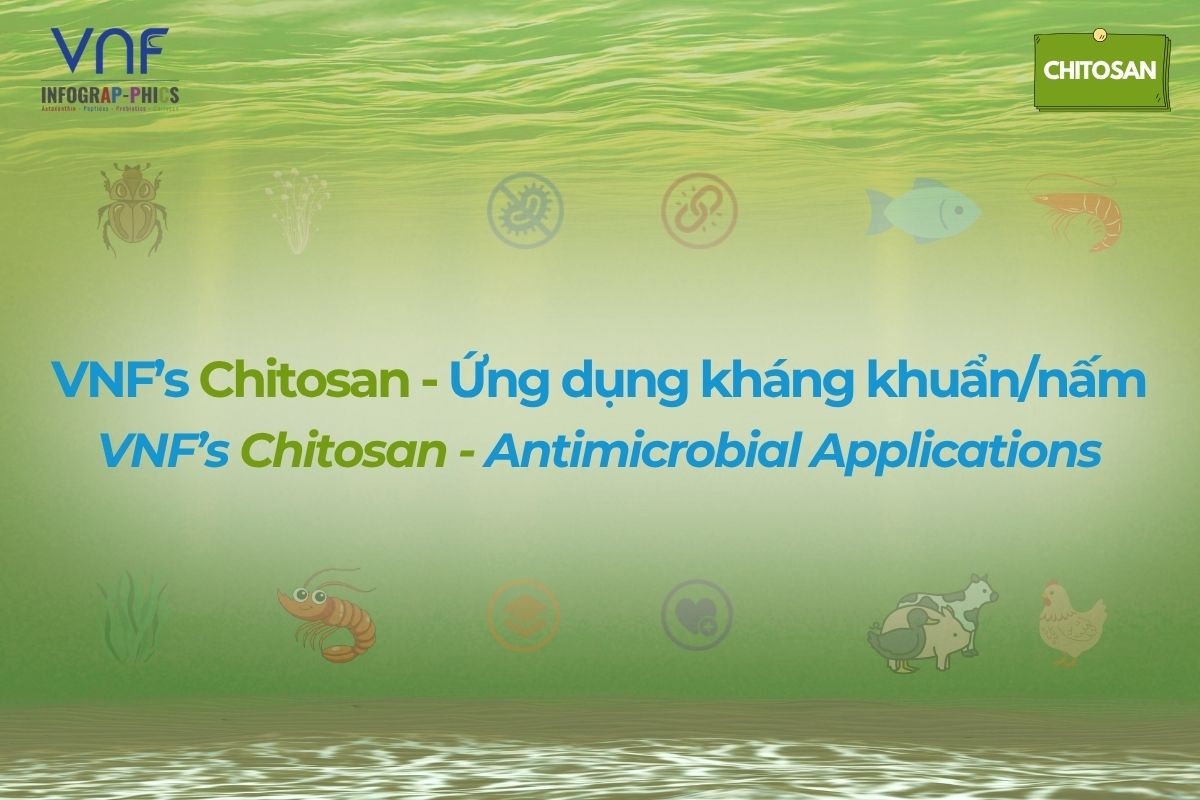Ứng dụng của Chitosan