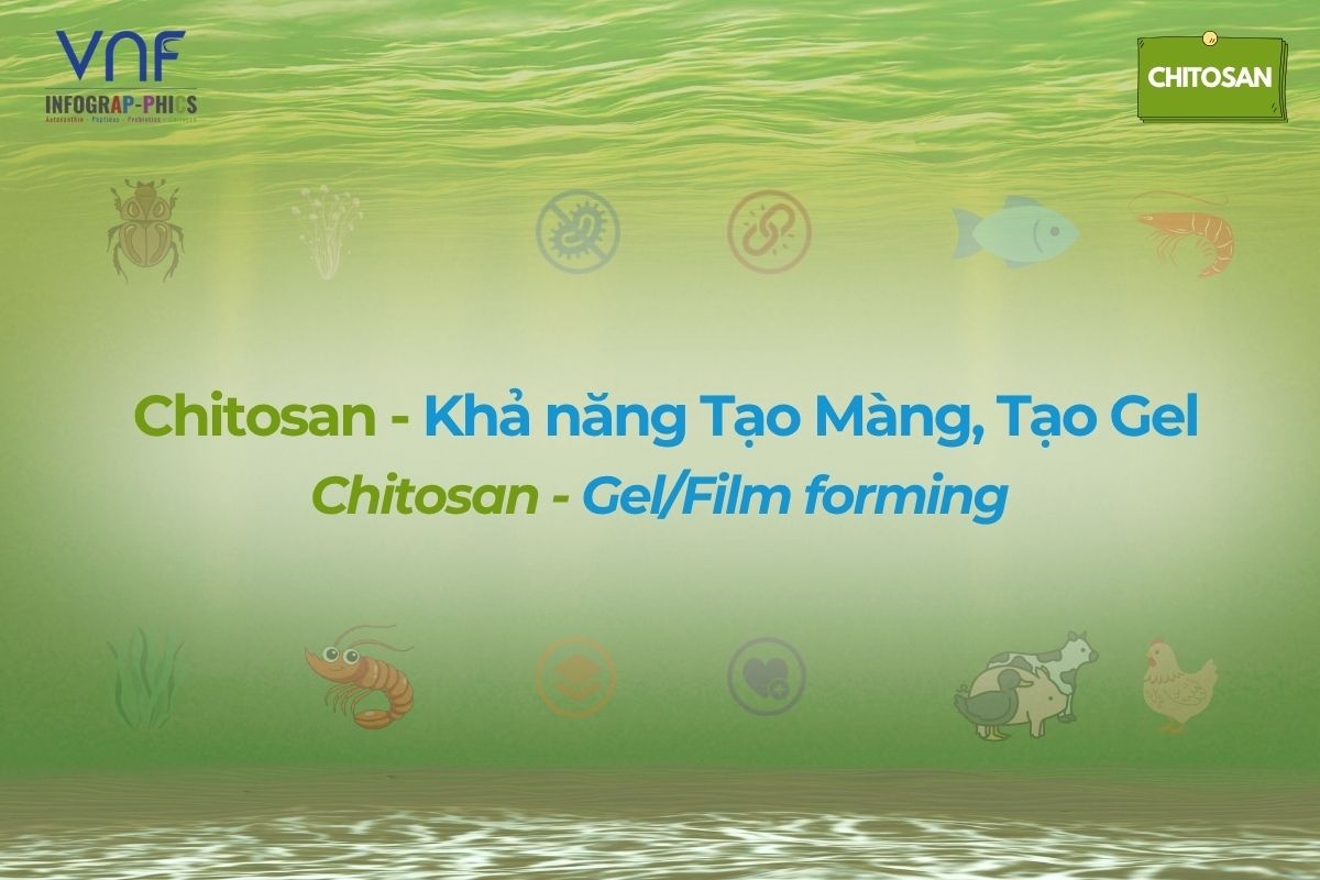 Chitosan