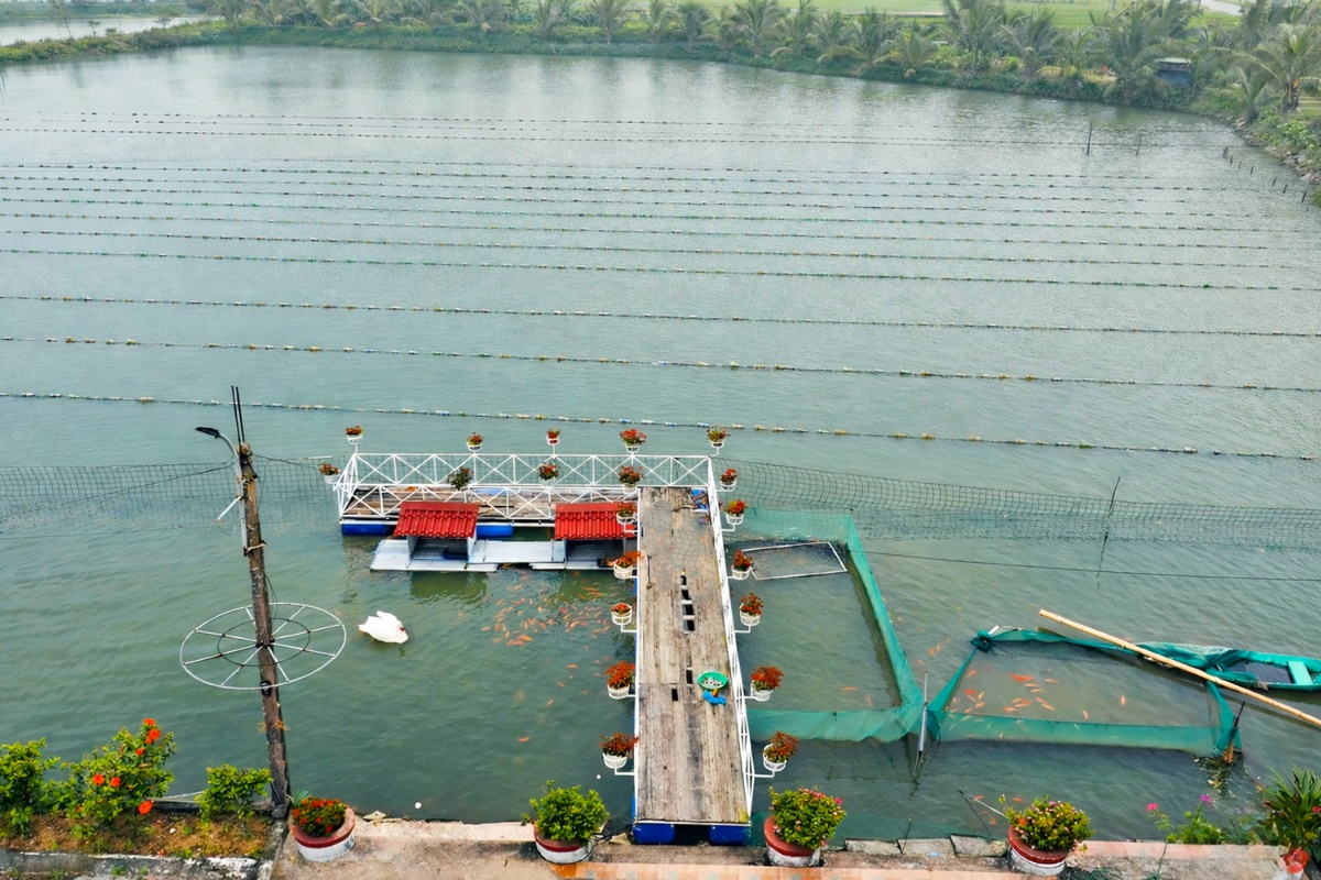 quang cảnh ao nuôi