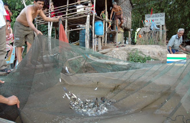 Cả ngày trời, gia đình ông Tư Bé (Đồng Tháp) chỉ bắt được một ít cá